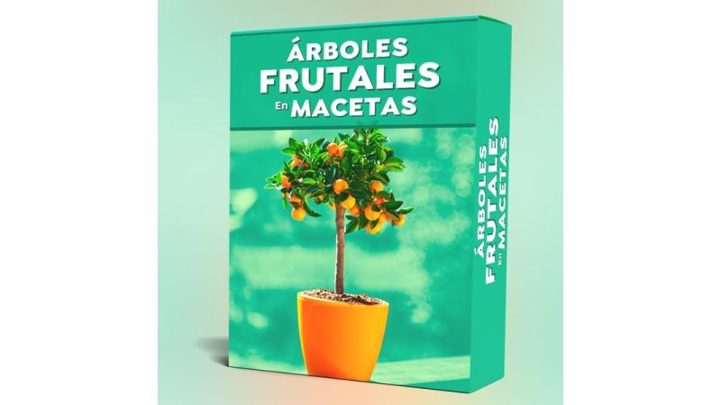 Arboles Frutales en Macetas es BUENO? ?【o ESTAFA?】◁ » iLeaders MMN